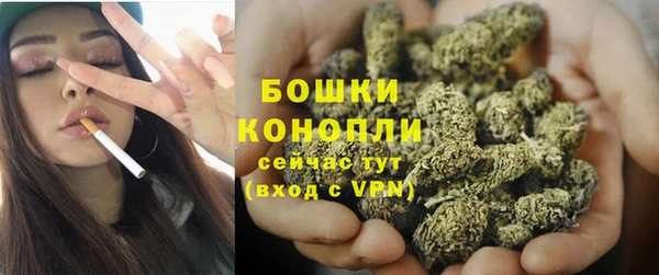 PSILOCYBIN Алексеевка