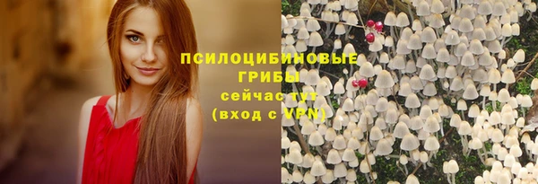 PSILOCYBIN Алексеевка