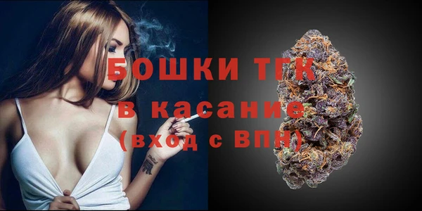 PSILOCYBIN Алексеевка