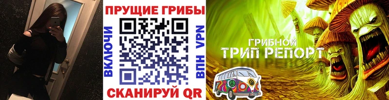 Псилоцибиновые грибы мухоморы Грайворон